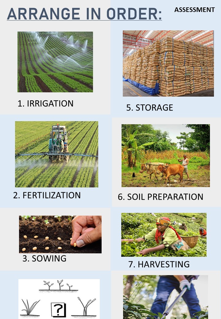 What Are The 7 Steps Of Agriculture